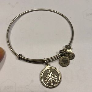 Alex and Ani 7 swords bracelet